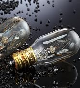 25 Watt Salt Lamp Bulbs