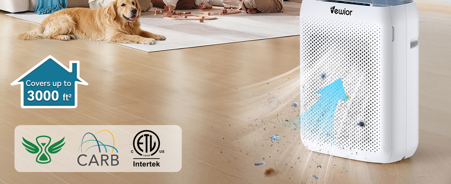 air purifiers large room