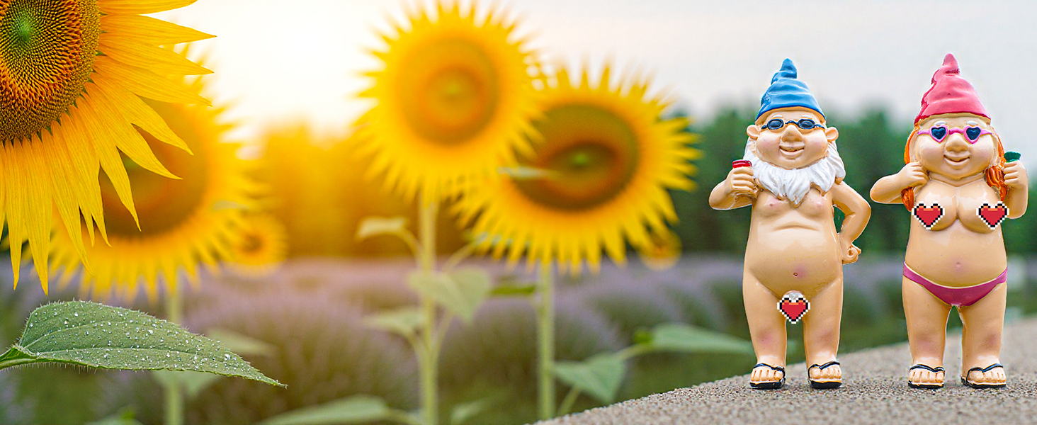 gnomes decorations for yard