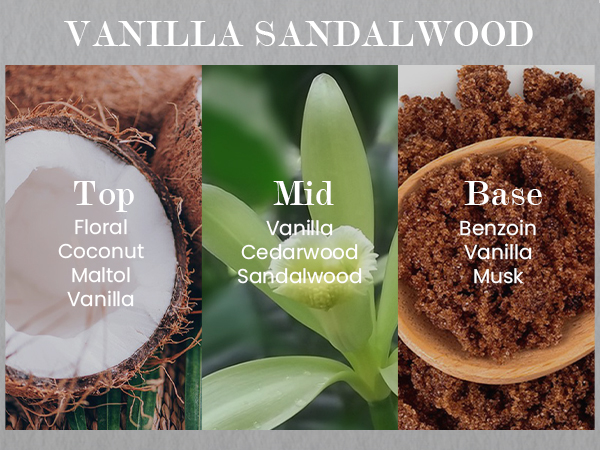 vanilla sandalwood-m