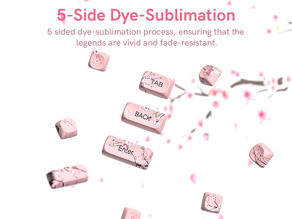 5-Side Dye-Sublimation