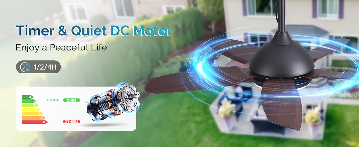 dc motor