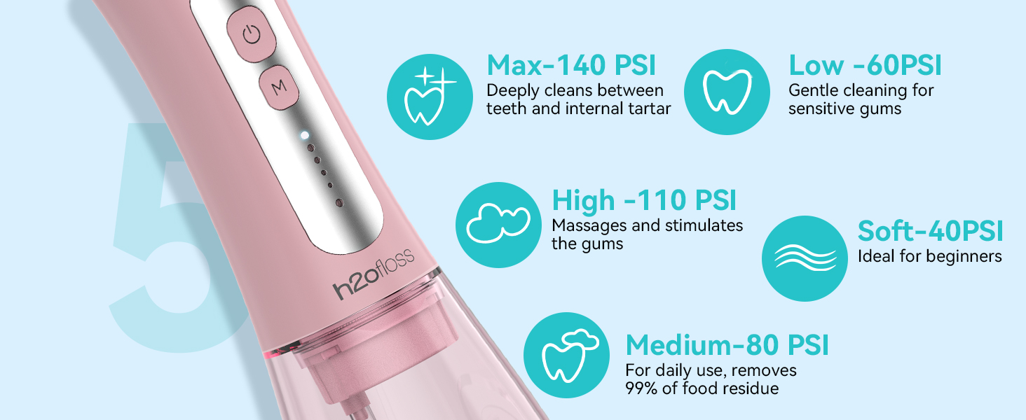 h2ofloss electric toothbrush and water flosser combo