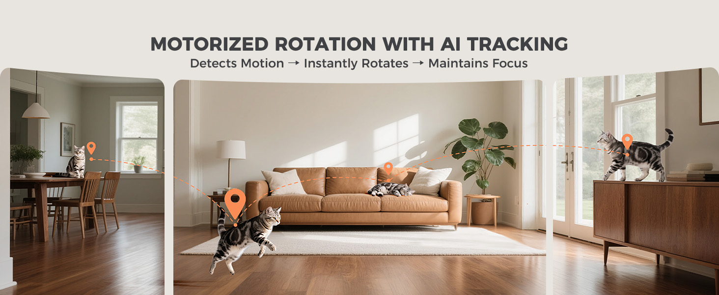 cat feeder with 2 camera