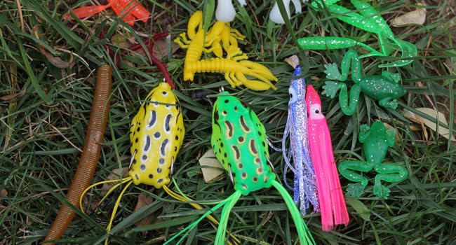 plastic lure