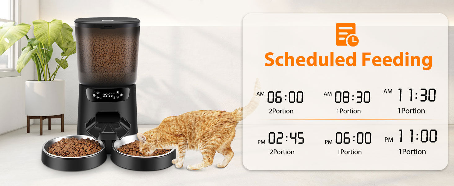 automatic dual cat feeder