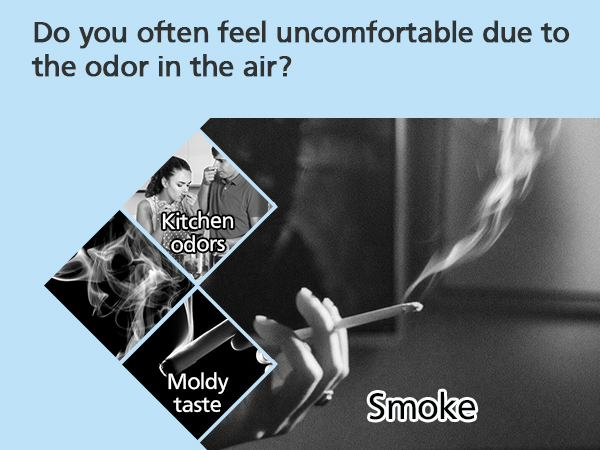 Core mini replacement filter