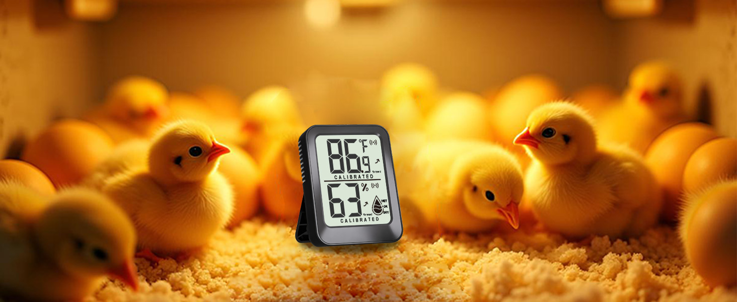 indoor thermometer for room temperature analog