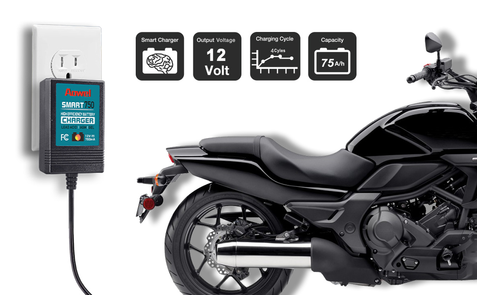 12v battery charger