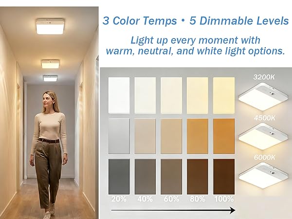 400LM Soft &amp;amp; Customizable Lighting