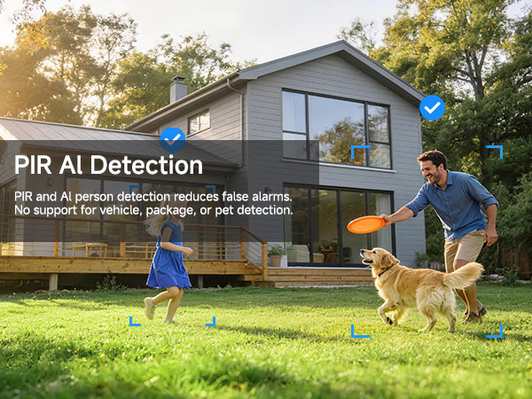 PIR Al Detection