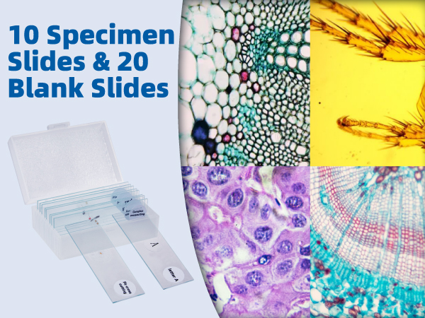 Monocular Microscope with LED Light