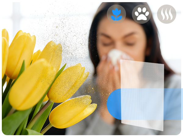 air purifiers for mold