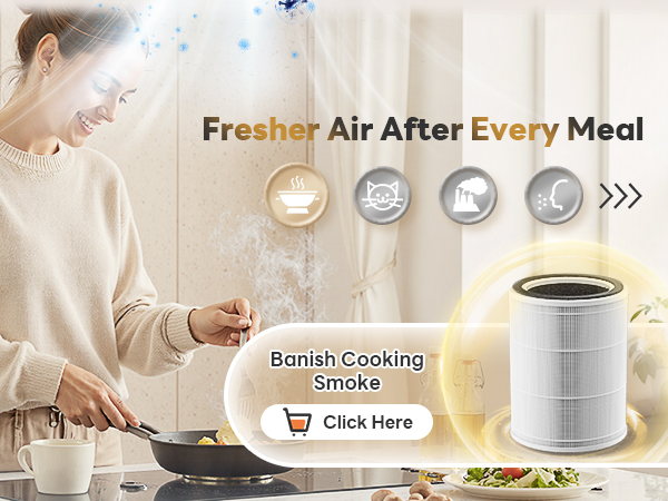 air purifer for kitchen