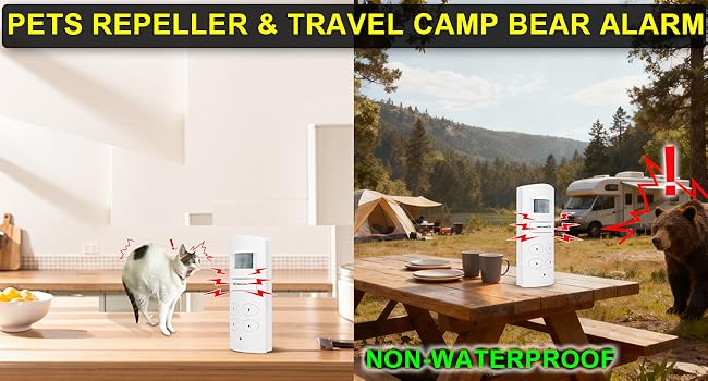 CAMP BEAR ALARM