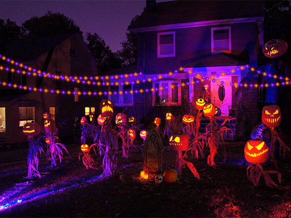halloween fairy lights