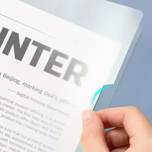 Report Cover