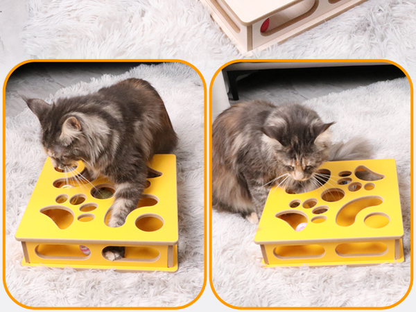 DI BI GRAMAS Cat Interactive Box Puzzle Toy