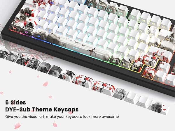 womier dye sub pbt doubleshot keycaps