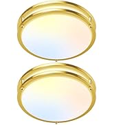 2-Pack Gold Flush Mount LED Ceiling Light Fixture, 12IN 2700K/3000K/3500K/4000K/5000K Adjustable ...