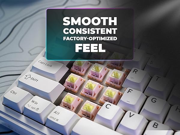 Tecware Ghost 75 smooth typing mechanical keyboard linear switch RGB gaming keyboard
