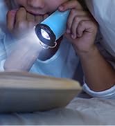EverBrite 2 in 1 Camping Lantern and Flashlight