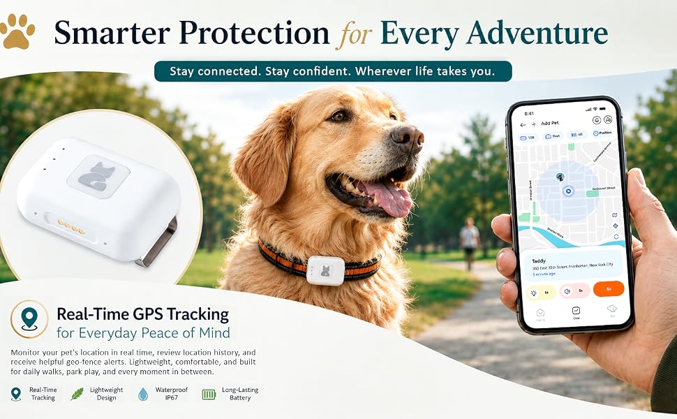 Pet tracker attached to a dog collar, showing real-time location tracking for outdoor walks