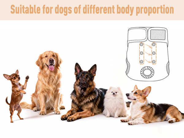Dog Diapers Female