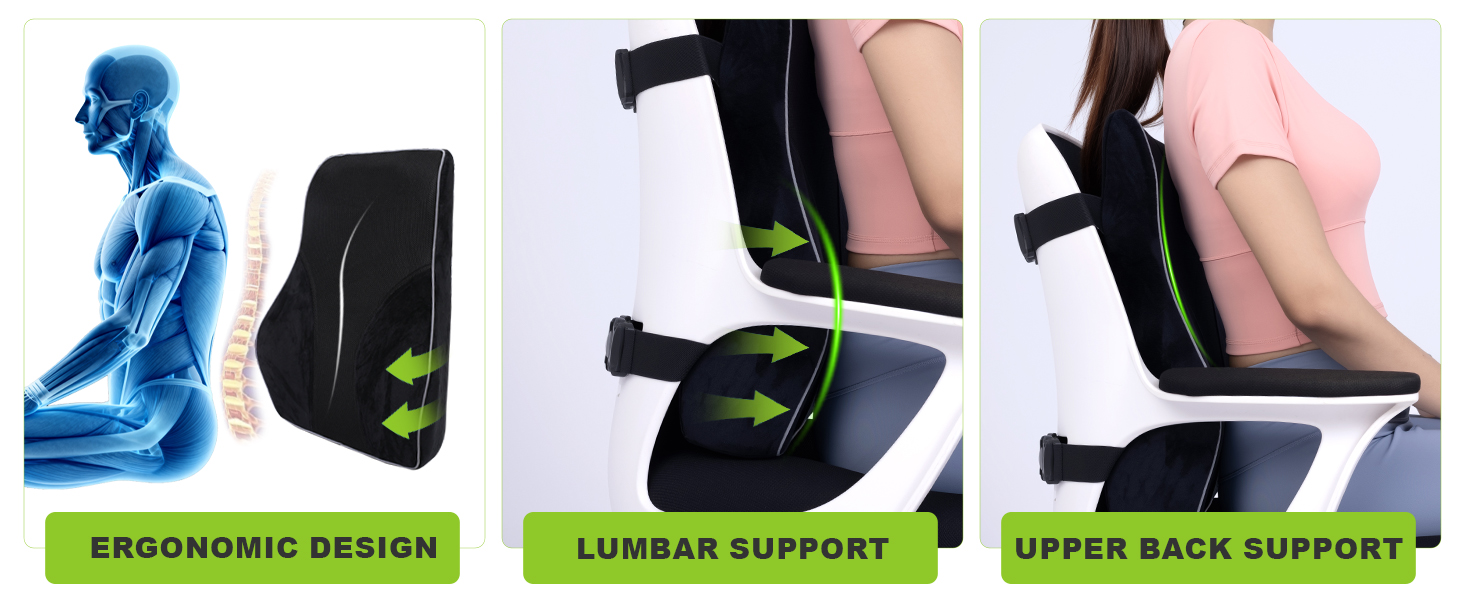 back rest office chair