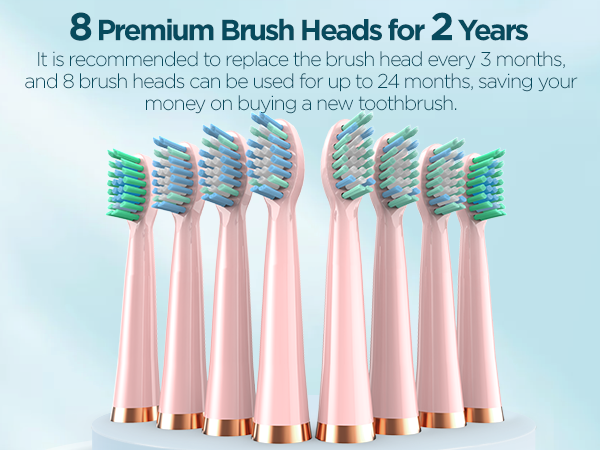 sonic electric toothbrush for adults