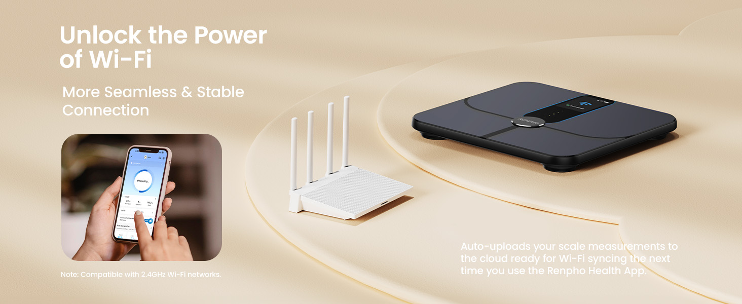 scale with stable conncetion