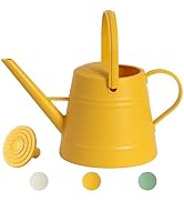 1 Gallon Watering Can Outdoor, Plastic Water Can for Plants with Comfort Grip Handle, Detachable ...