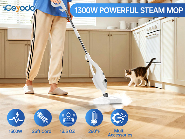 steam mop