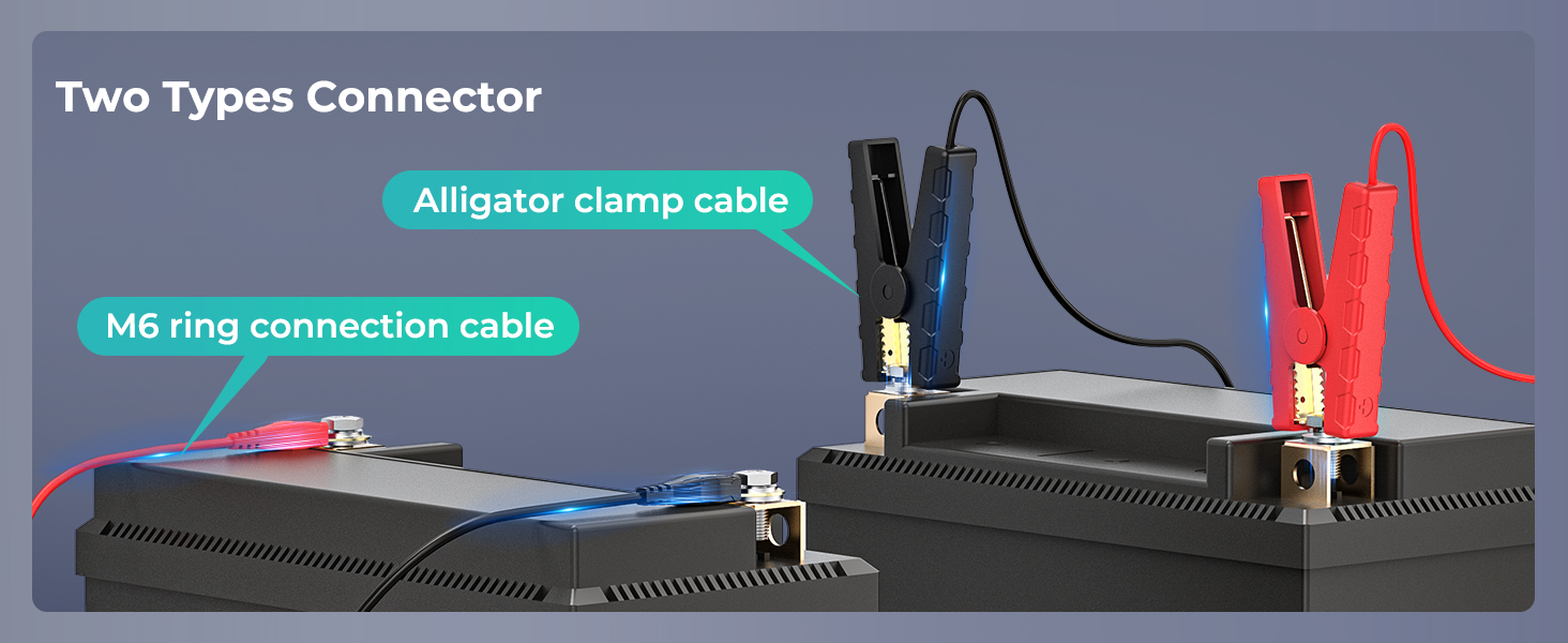 12V LiFePO4 Battery Charger