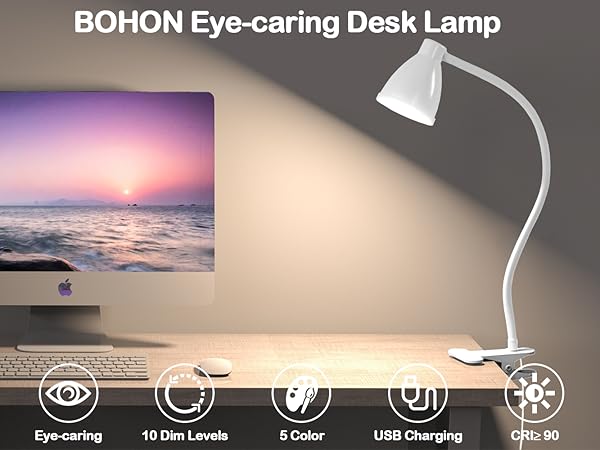 Desk Lamp Reading Light LED Clamp Lamp Flexible Gooseneck Clip on Light for Bed Bedside