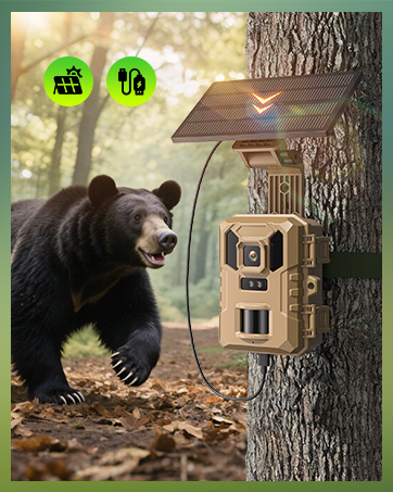 trail cameras with night vision motion activated waterproof