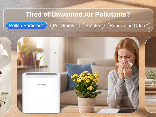 Air purifiers for rooms