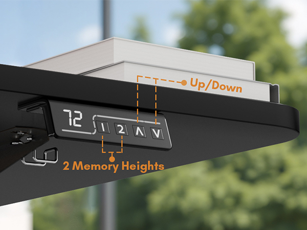 Electric Height Adjustable Standing Desk