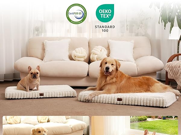 large dog bed