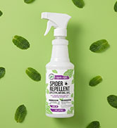 Mighty Mint Peppermint Oil Spider Repellent Spray – Indoor &amp;amp; Outdoor Bug Control for Spiders and ...