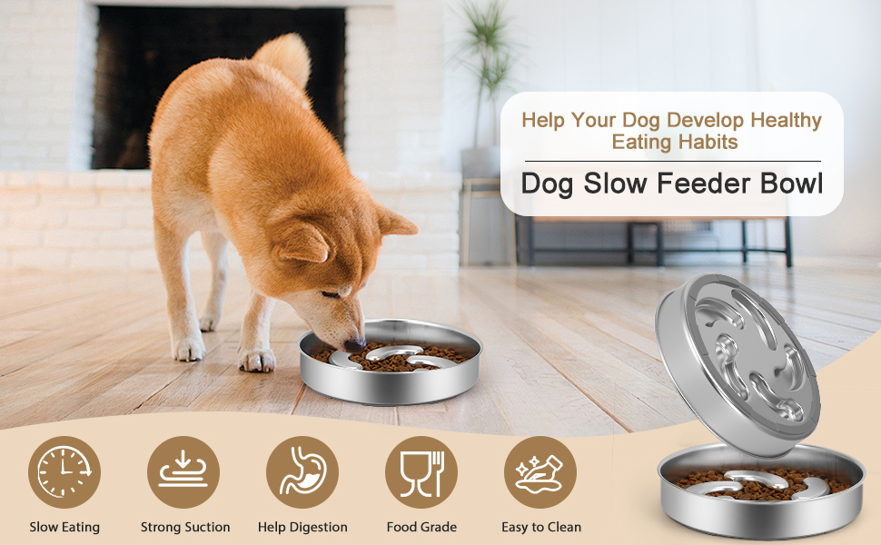 Slow Feeder Dog Bowl