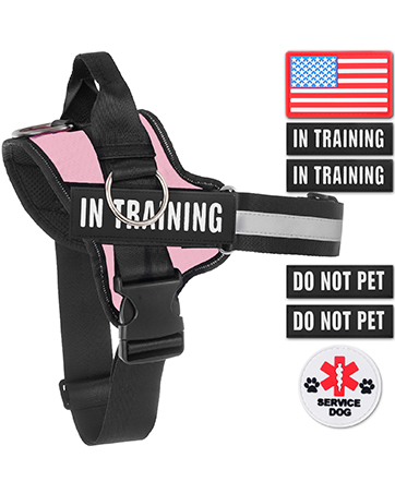 harness