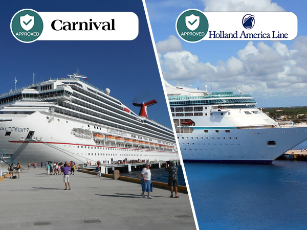 cruise ship essentials