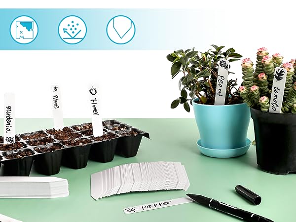 seed labels
