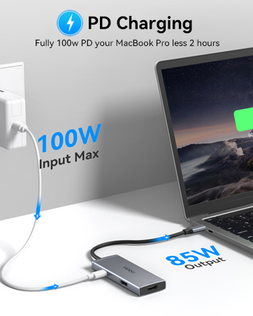 100W Power Delivery Port