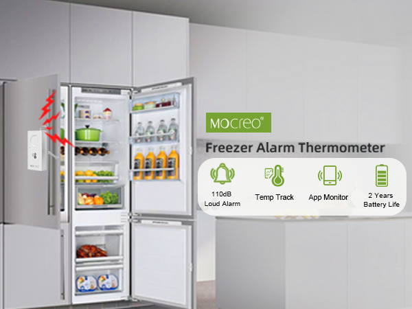 freezer alarm thermoter