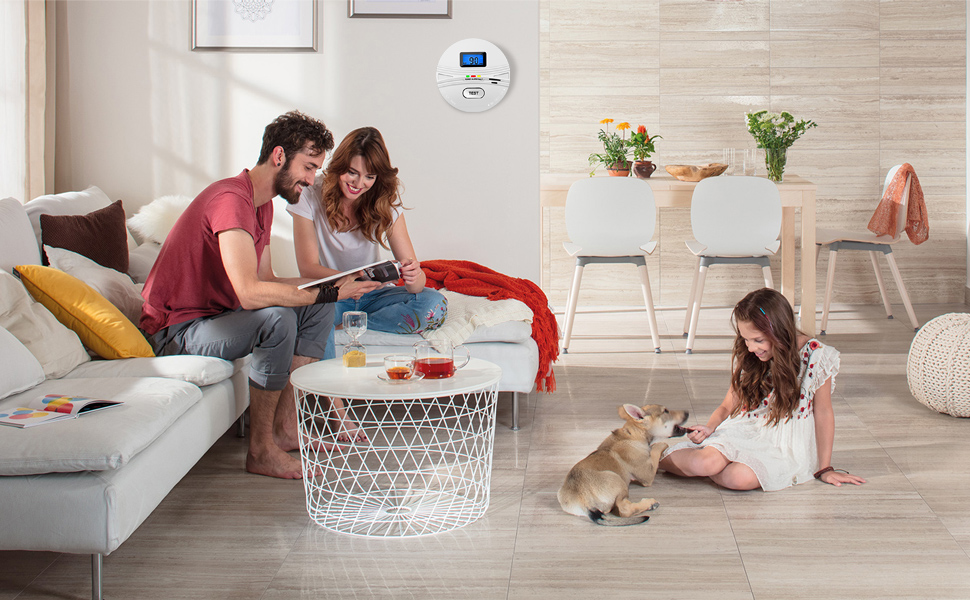 Smoke and Carbon Monoxide Detector