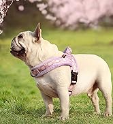 Didog No Pull Dog Harness with Soft Padded, Easy Walk Dog Harness with Quick Release Buckle, Adju...