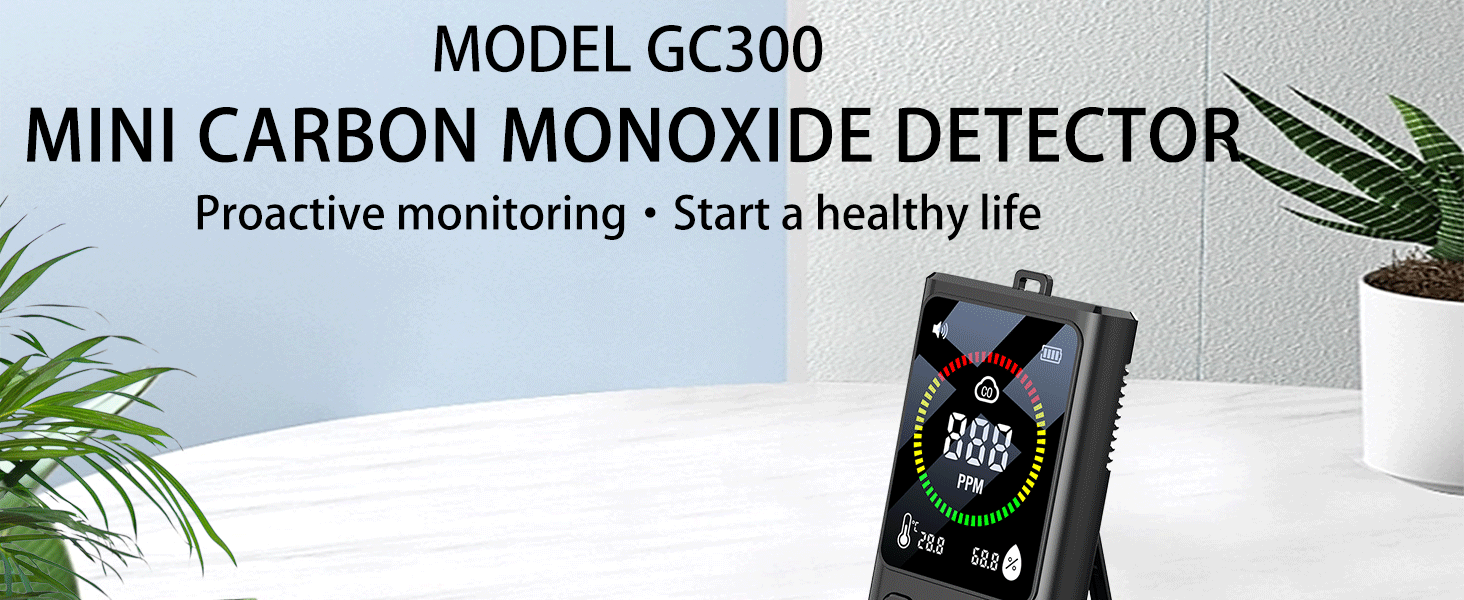 portable carbon monoxide detector