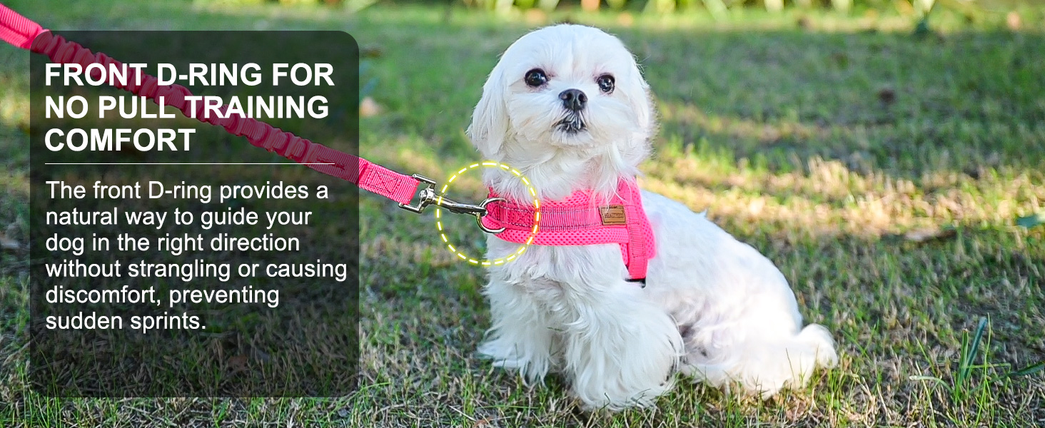 harness small size dog